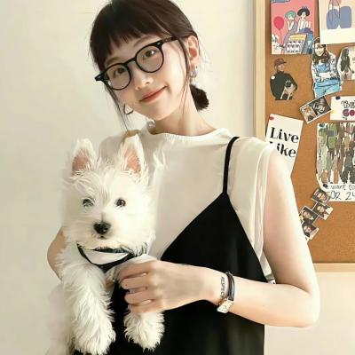 狂飙 第二季