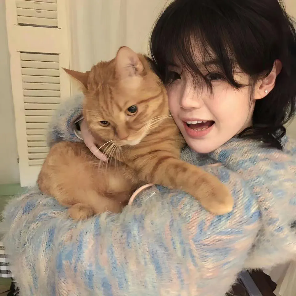 猫咪第一次见到小奶狗的反应，太治愈了 - 偷窥内地女公共浴室洗澡视频